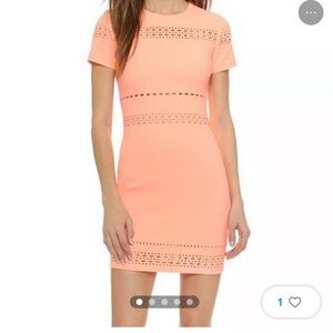 Elizabeth and James Ari dress